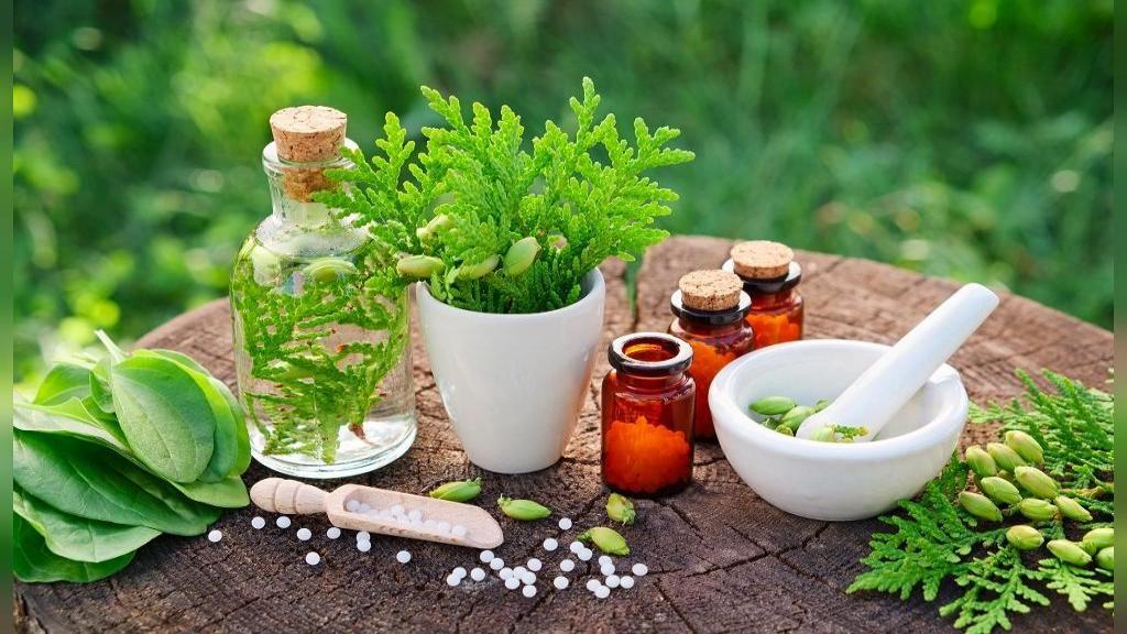 داروی گیاهی لکنت زبان جهت درمان لکنت زبان در کلینیک گفتار درمانی فرهمندپور