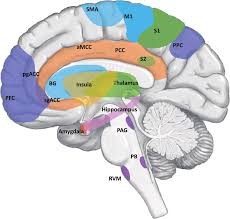 آیا شما لکنت دارید؟